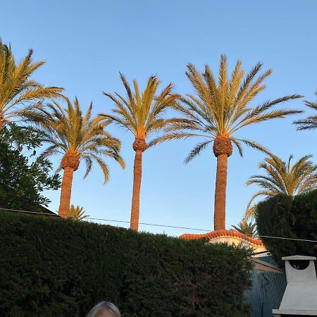 Gemuetliches Bungalow In Denia Spanien Exteriör bild